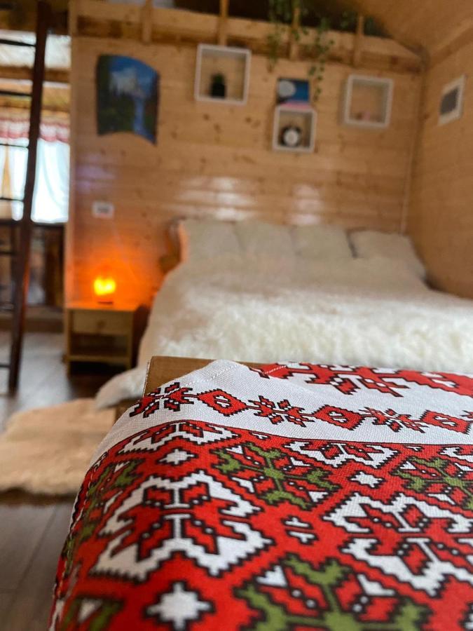 Chalets Du Bf Сігішоара Екстер'єр фото