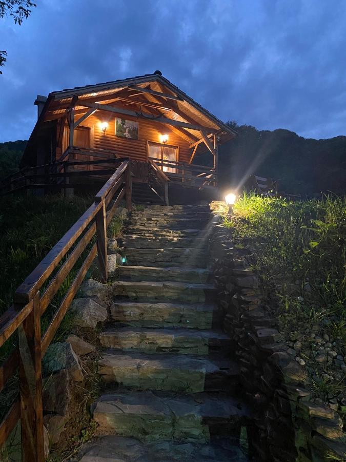 Chalets Du Bf Сігішоара Екстер'єр фото