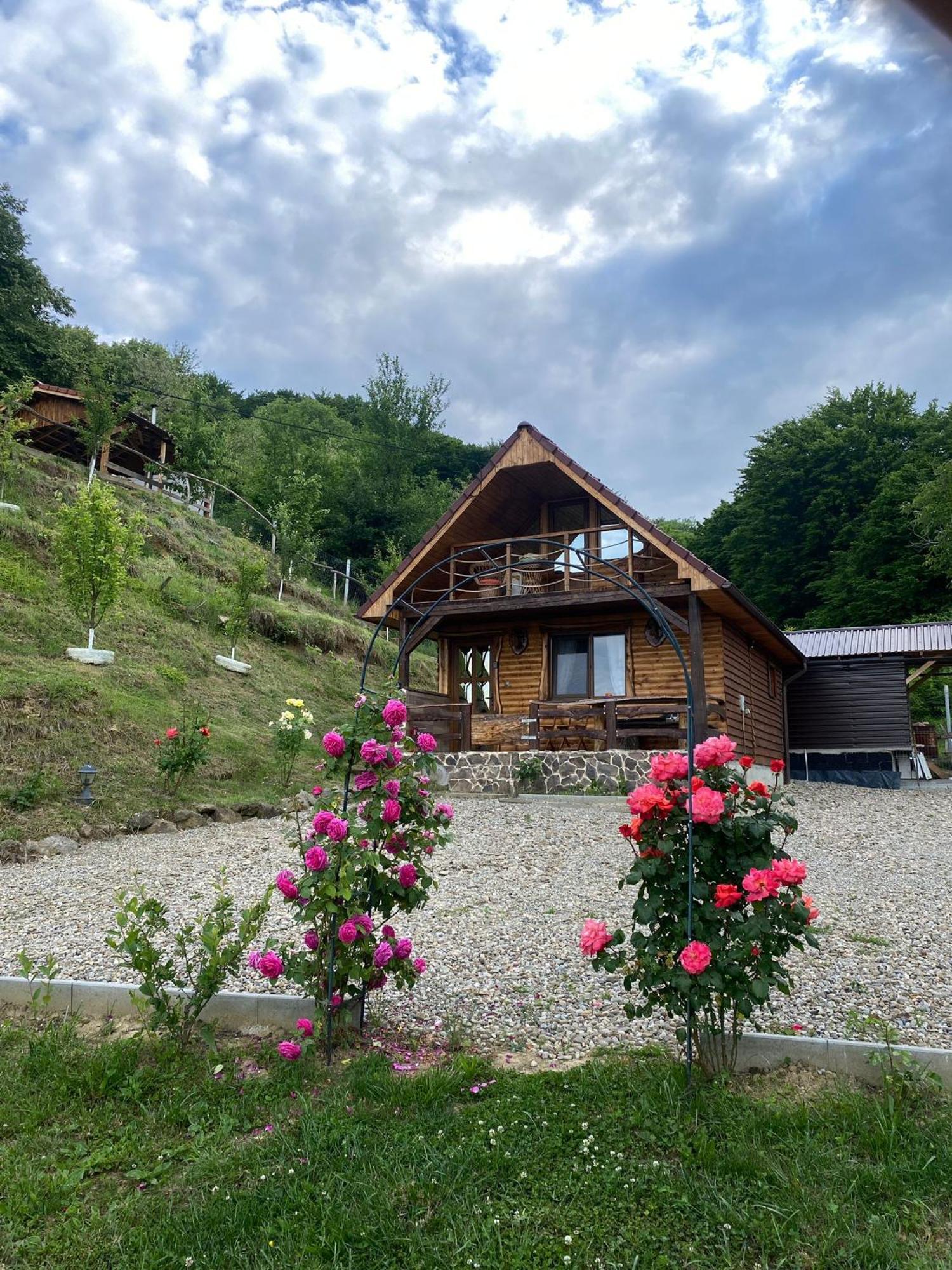 Chalets Du Bf Сігішоара Екстер'єр фото